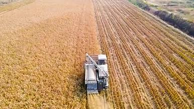 4K航拍秋季丰收农业机械收割水稻农田视频的预览图
